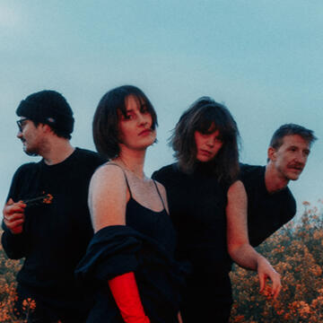 You Don't Have To Be A Shark